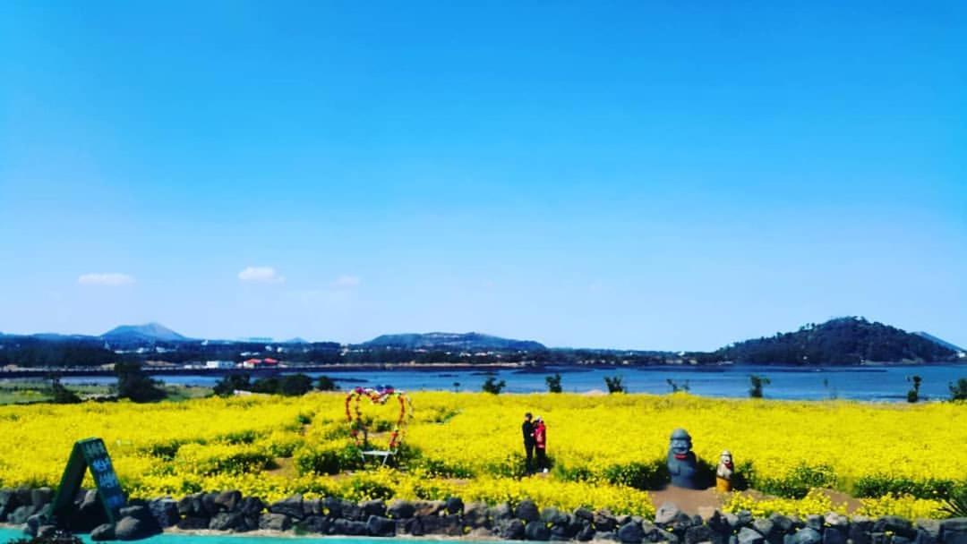 Seongsan Ilchulbong Pension Jeju Exterior foto
